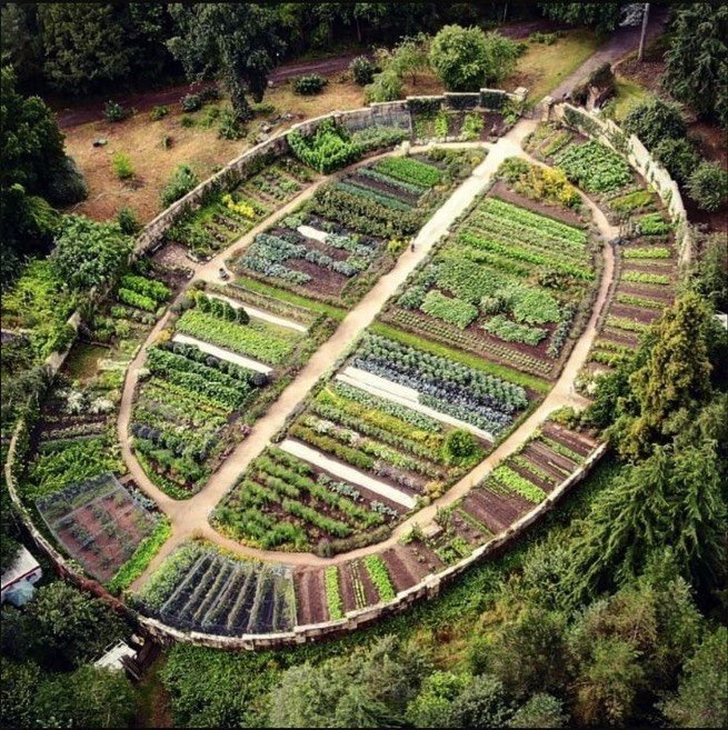 Aerial view of a leaf-shaped organic garden