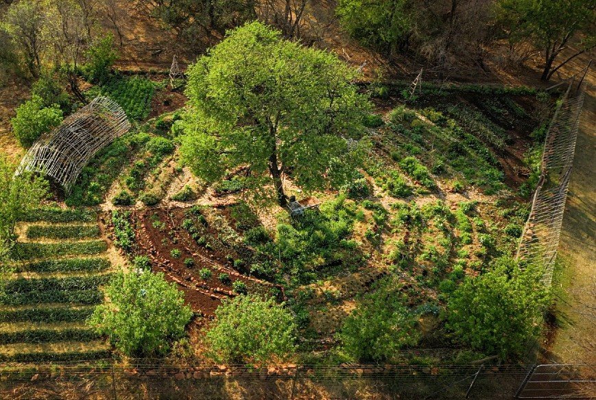 Aerial view of a circular organic edible food garden