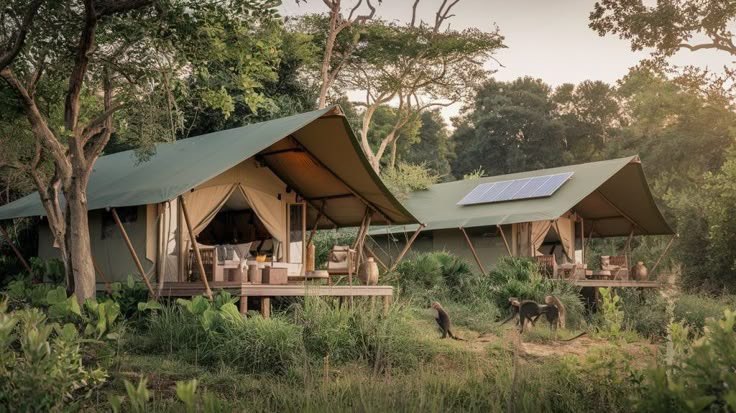 Luxury safari glamping tents hidden among trees