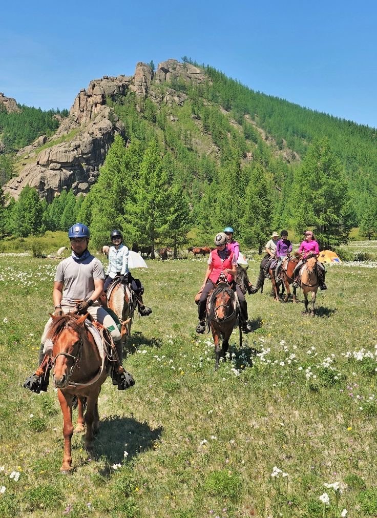 Horse trekking across open green pastures