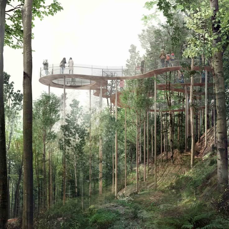 Children climbing a ropes course in the forest canopy
