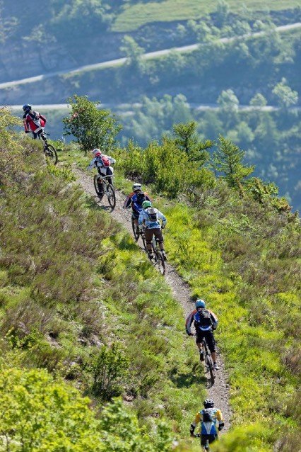 Children mountain biking together through a forest path