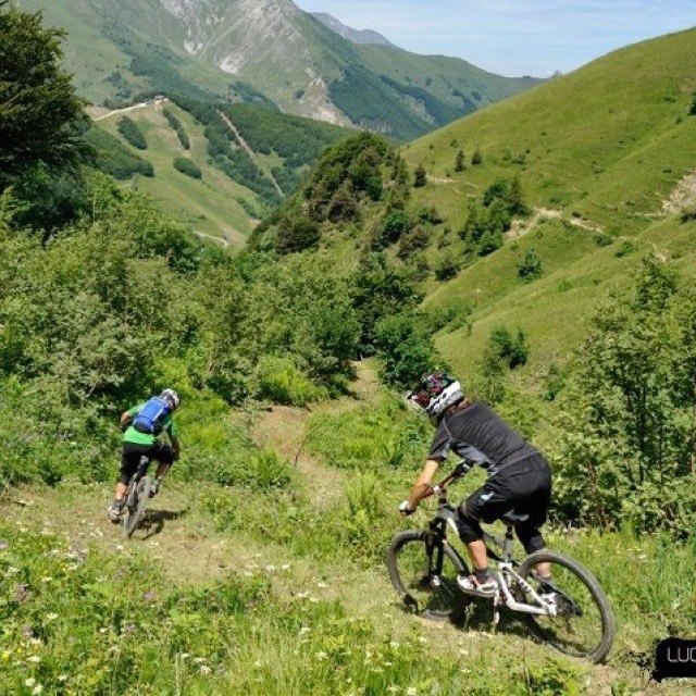 Mountain biking trail through mountainous green terrain