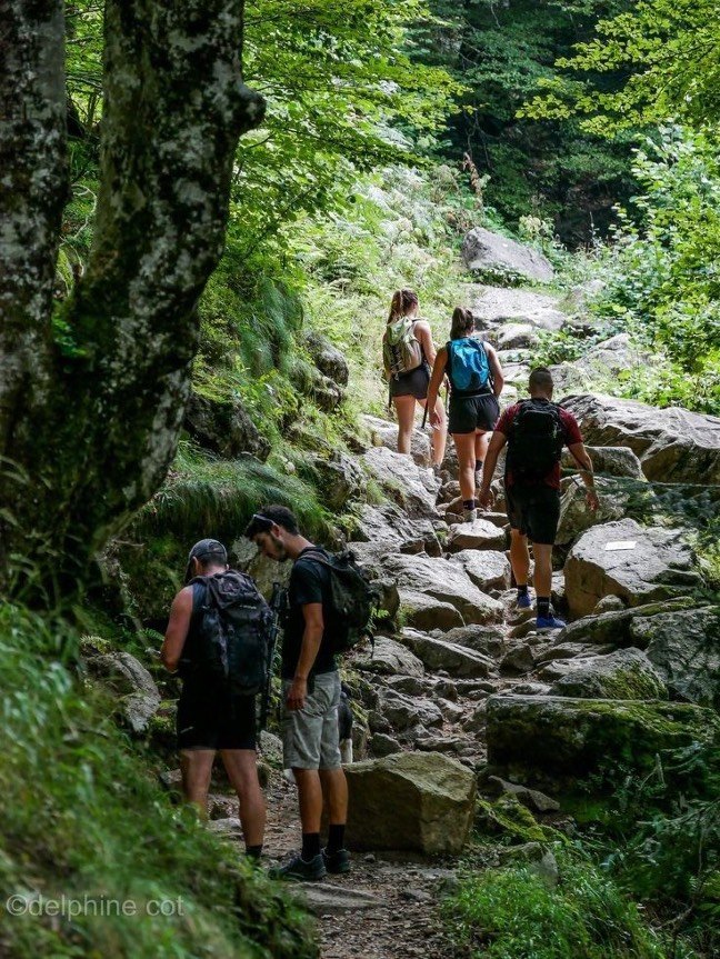 A family hiking together through a green forest